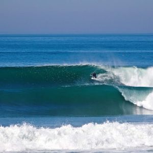 Surf